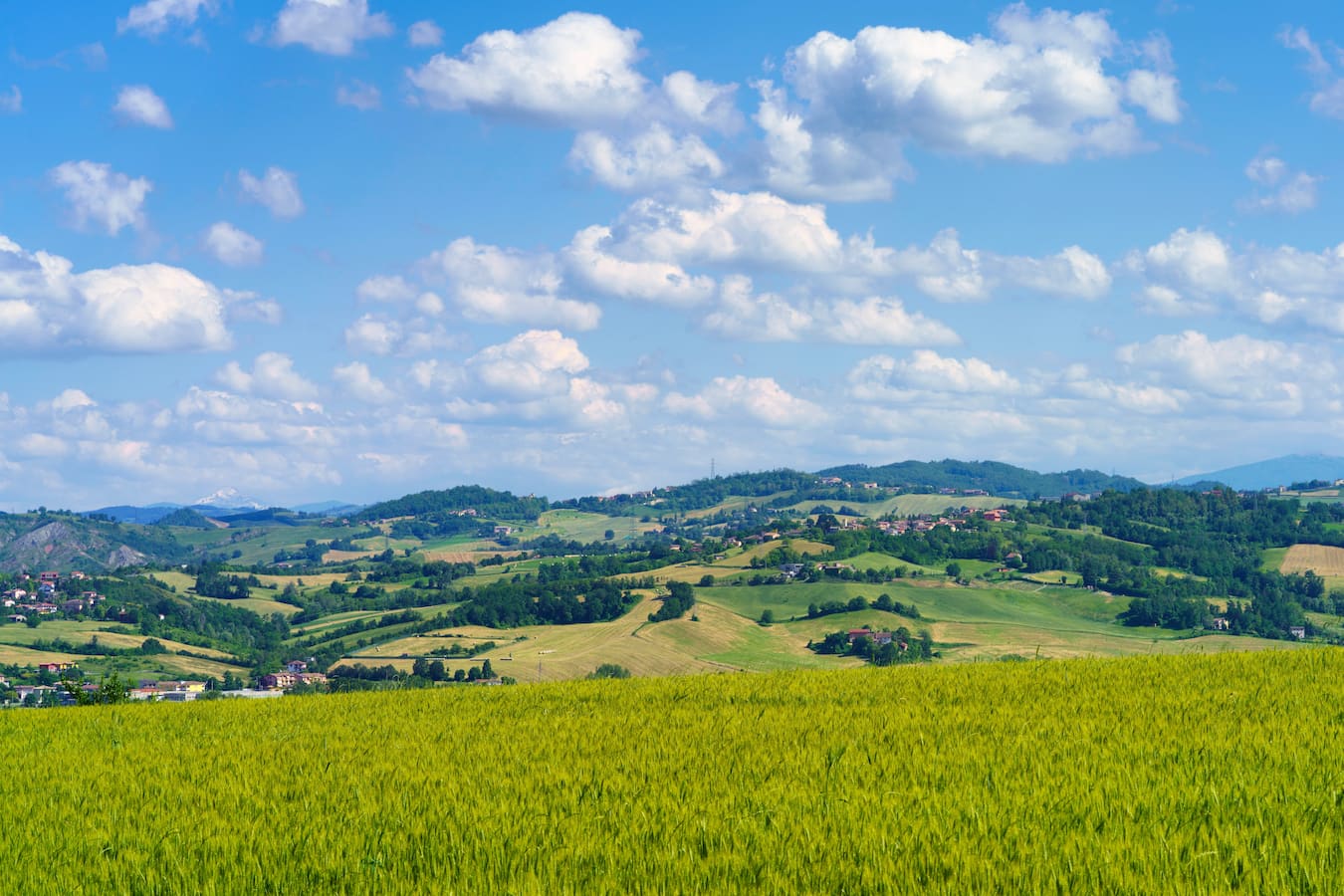 Landscape near the medieval castle of Torrechiara, Parma province, Emilia-Romagna, Italy, at springtime